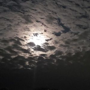 Meet your Posher, Desiree'